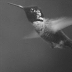 UV ultraviolet photo